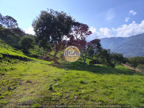 Lote En Parcelación En Exclusivo Sector Girardota Sin Pago De Administración. Lote En Parcelación Qué No Paga Administración. Lote Privado - Imagen 3