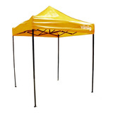 Carpa Toldo Plegable 2x2 Reforzado Impermeable Jardín 2 X 2 