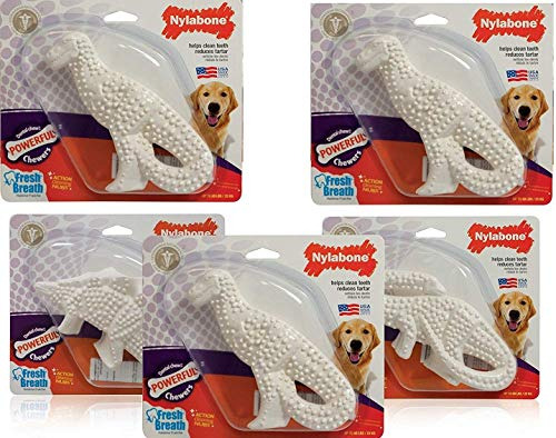 Pack De 5 Nylabone Dientes Dinosaurio Masticable, Regular