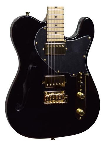 Guitarra Seizi Katana Kabuki Hh Ltd Tele Thinline Black Gold