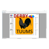 Derby Tuums 2019, Programa Cotejador De Peleas De Gallos 