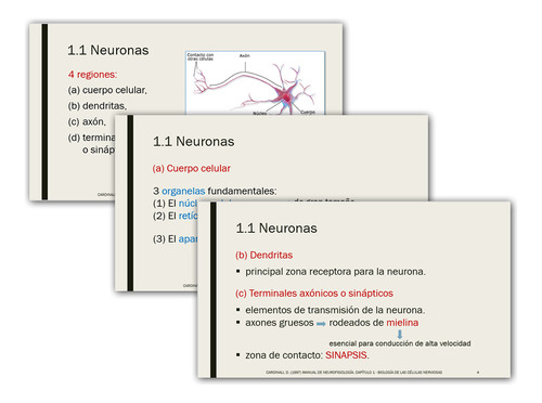 Diagramación De Diapositivas Presentaciones Powerpoint