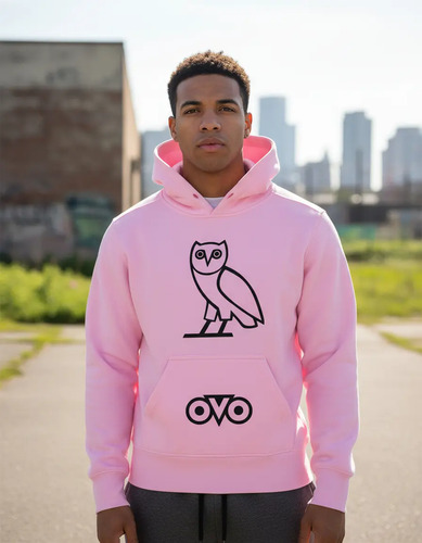 Sudadera Con Gorro Drake Ovoxo Envio Gratis Buho Ok