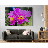 Cuadro En Lienzo Tayrona Store De Orquideas 001 70x50cm