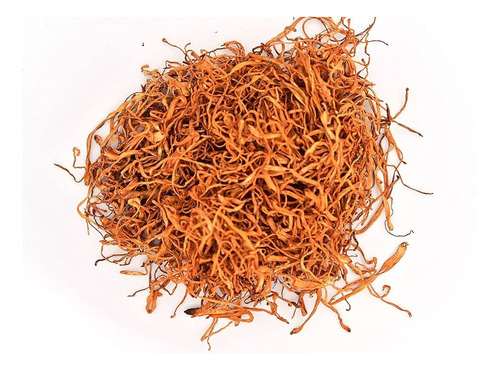 Cordyceps Hongo Desh. 200g. Poderoso Adaptogeno. Agronewen.