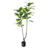 Planta Ficus Elástica Gomero Artificial 170m Calidad Premium