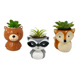 Trio Vasinho Para Suculenta Urso + Guaxinim + Raposa Marrom Cor Variados Urso Raposa Guaxinim