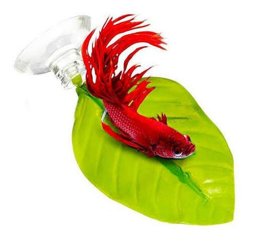 Folha Descanso Cama Para Peixe Beta Bed Betta - Aleas Jeneca