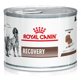 Royal Canin Recovery Para Perro / Gato X 3 Latas De 195gs