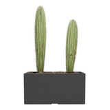 Maceta Plástica Rotomoldeada Amalfi Modelo Jardinera N 60 Color Negro