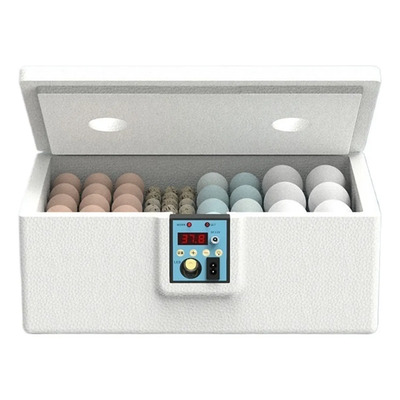 Incubadora De Agua Para Huevos Con Alimentación Usb