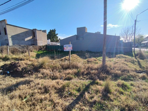 Rosales Y Molina Campos-lote En Venta