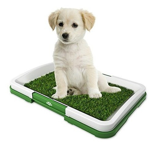 Alfombra De Baño De Césped Artificial Para Cachorros