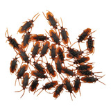 100 Piezas De Juguete De Cucaracha Falsa Cucaracha