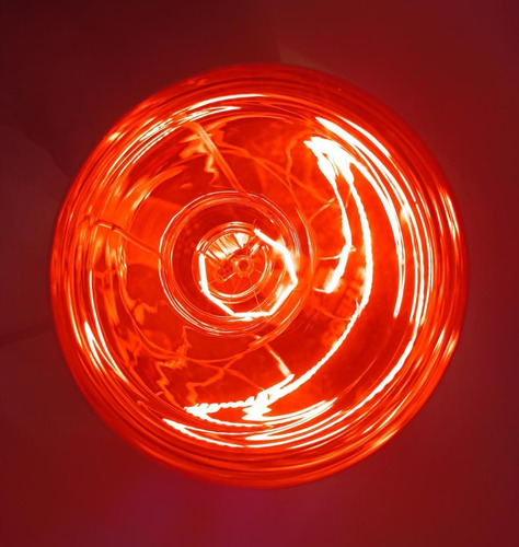 Lámpara Infrarroja 250w Roja 4 Unidades Calor Criaderos