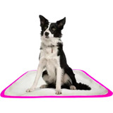 Tapete Pet Lavavél Pink Fêmea Dog Tamanh Grande 100x90 Kit 3