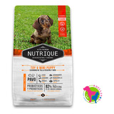 Nutrique Toy & Mini Puppy/cachorro Dog/ Perro X3kg Huellitas