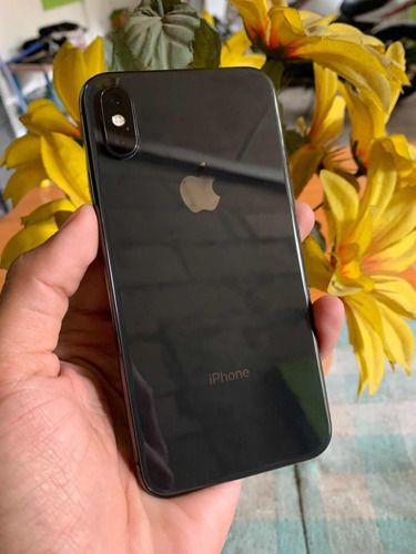 Celular iPhone XS 256 Gb