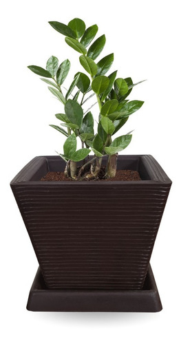 1 Vaso De Planta Quadrado + Prato Diversas Cores Q 30x30