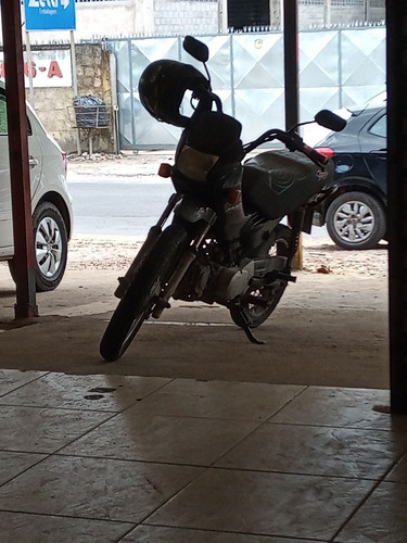 HONDA.  POP100