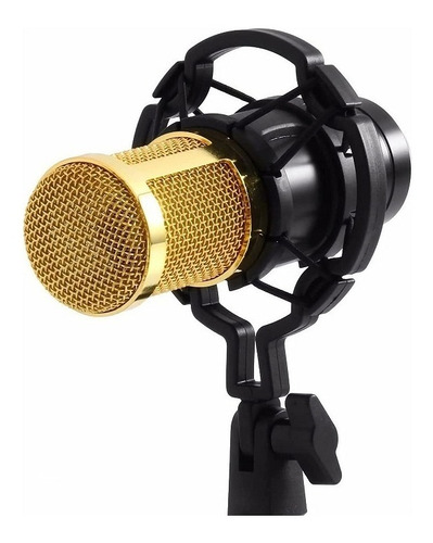Kit Microfono Condensador Bm 800 Sonido Estudio Profesional