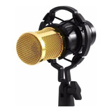 Kit Microfono Condensador Bm 800 Sonido Estudio Profesional
