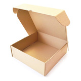 Caja Para Empanadas 1 Docena 28x21,5x6,5 Mejor Calidad X50u