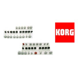 Botões P/ Teclado Korg Pa600 2 Kits Botões ( Fills+ Start )