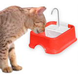 Bebedouro Para Gato Eletrico Bivolt Vermelho Fonte De Agua 
