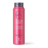 Lendan Shampoo Cs Protector Del Color Addict 300ml H/españa.