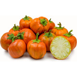Semillas De Berenjena Naranja Turca Orgánicas 