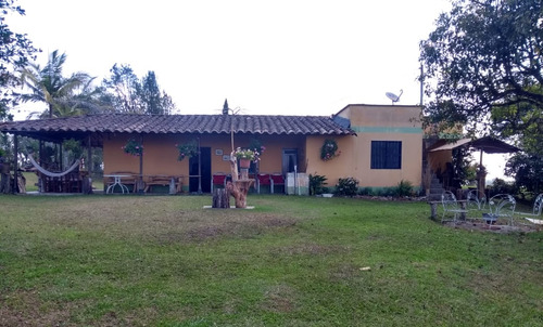 Finca Sub Urbana Vereda Alto Del Mercado-marinilla