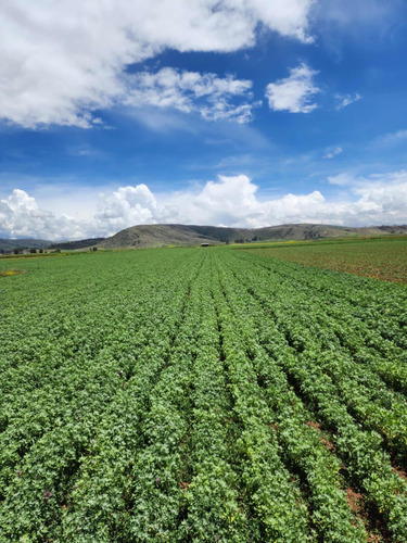 Terreno En Venta En Sicaya - 28717 M2 - Imagen 2
