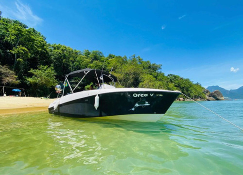 TOP FISH 21