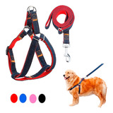 Correa + Pretal Regulable De Jean Para Perros Talle Chico