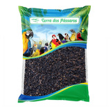 Semente De Niger Para Pássaros - 500g