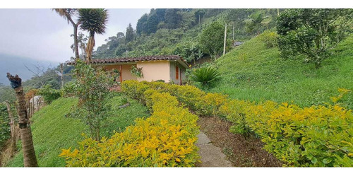 Vendo Casa Finca Fredonia Antioquia - Imagen 4
