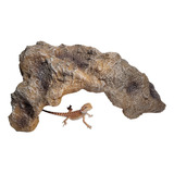 Acuario Hiding Rock Cave Para Tortugas Y Reptiles Tomando El