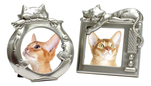 Marcos Metalicos Para Fotos De Gatos. ¡imperdibles!