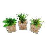 Set 3 Suculentas Mini Planta Artificial Con Maceta Cristal