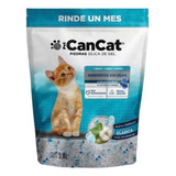 Piedra Silica Sanitarias Can Cat Gato Persa Mascotas 3,8lts