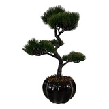 Bonsai Pinheiro Artificial Realista Vaso Cerâmica Premium