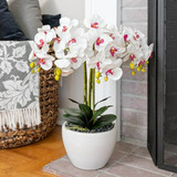 Orquídea Artificial Con Jarrón De Cerámica Blanca - Flores F