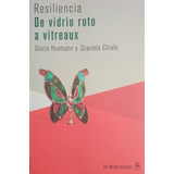 Resiliencia De Vidrio Roto A Vitreaux Husmann Como Nuevo