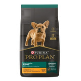 Proplan Puppy Small Breed X 3 Kg. Sabuesosvet!