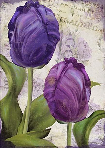 Loro Tulipanes I Por Color Arte Panadería De Impresión, 10 X