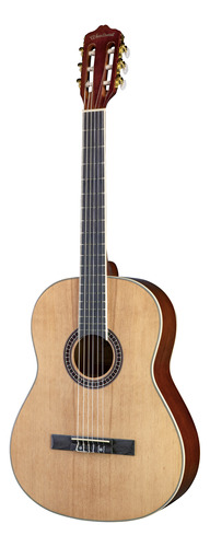 Guitarra  Woodsoul S-sa 39