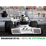 Quadro Vintage 20x30: Brabham Bt42 - 1973/ Wilson Fittipaldi