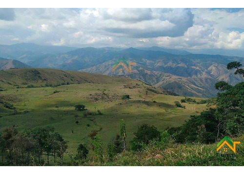 Vendo Finca De Gran Extension En Betulia - Imagen 3