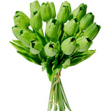 20 Tulipanes, Flores Artificiales Mandys - Verde.